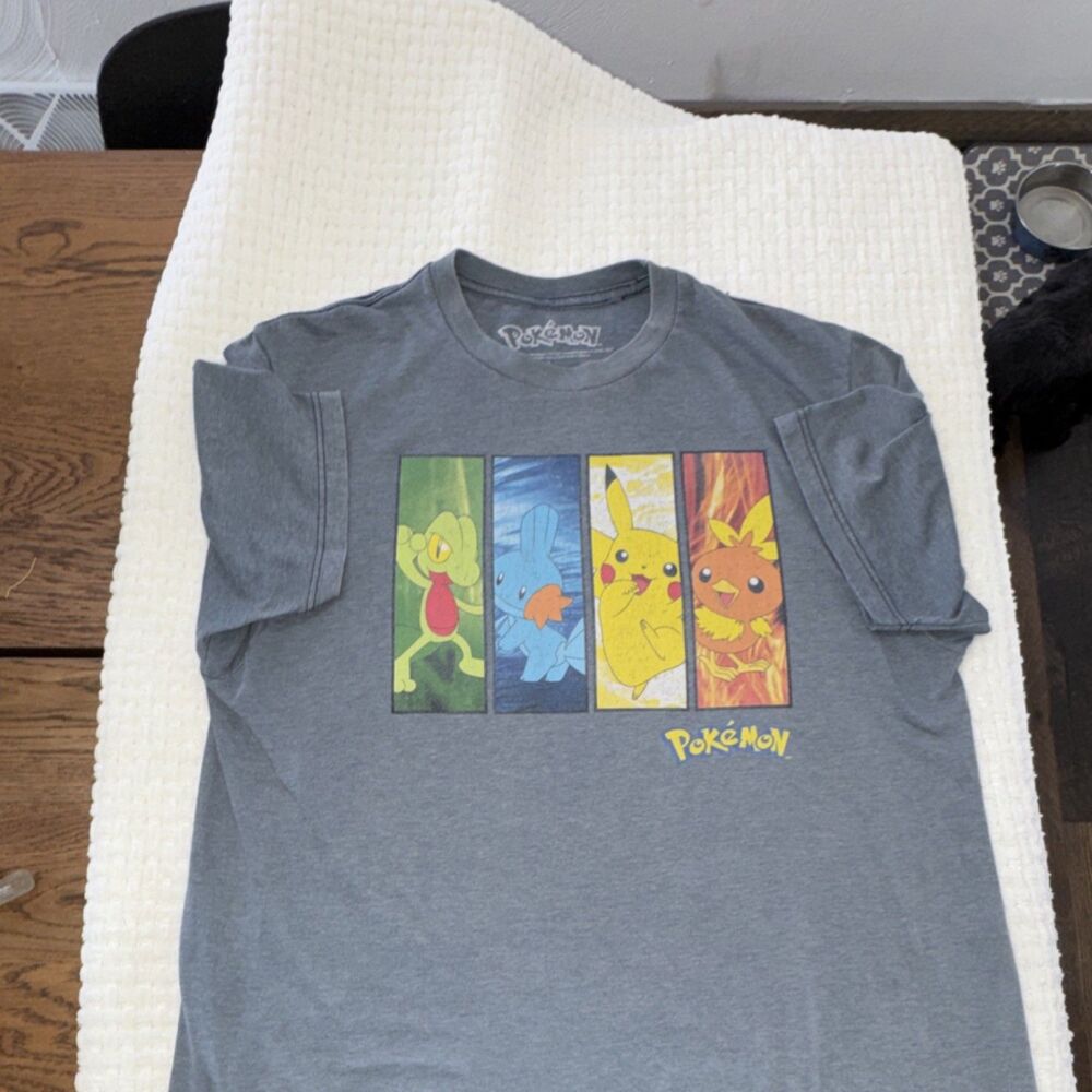 Pokémon Men's Gray Graphic Tee Pikachu Treecko Mudkip Torchic Cotton Jersey